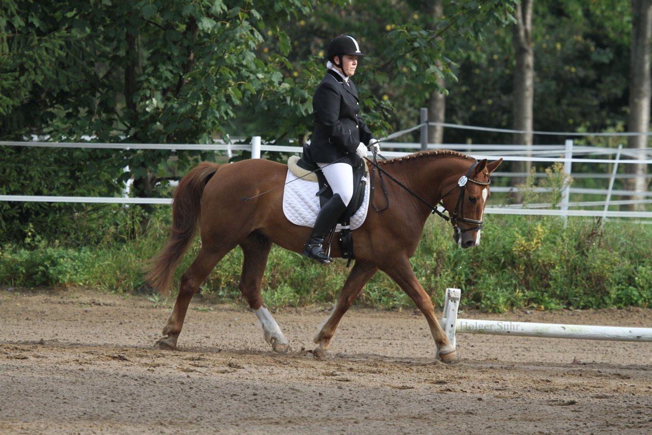 Bild 102 - WBO-Turnier am 18.9.11